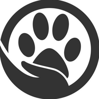 Германия | питомцы - TgScanner