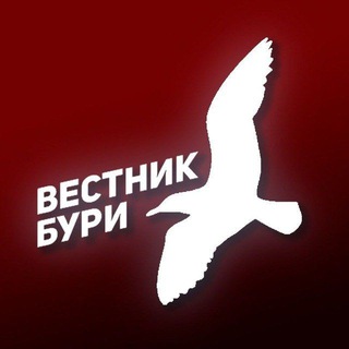 Аватар Телеграм канала "Вестник Бури" @vestnikiburi