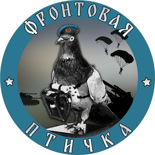 Фронтовая птичка - TgScanner