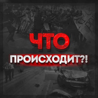 Что происходит?! - TgScanner
