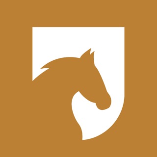 استشارات جيل - TgScanner