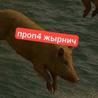 РОЗЫГРЫШ Ξ свинарник 100% - TgScanner
