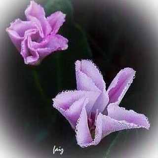 Telegram频道 "تصاميم" @tsamym12 的头像