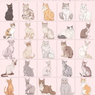 Аватар Телеграм каналу "Бинго на все случаи жизни" @+_v2XVHgvCek5M2Ey