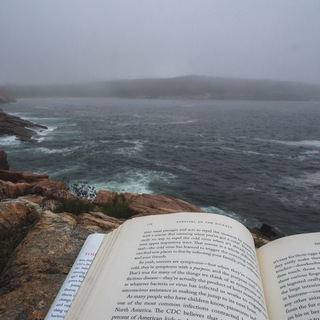 Аватар Телеграм каналу "Quotes for your soul" @quotes_literature