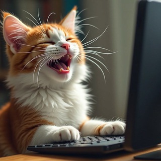 Avatar of Telegram channel "Ctrl+C, Ctrl+Mem" @memovnicy