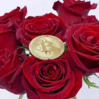 Rose Paid Crypto Free ™🔒 - TgScanner