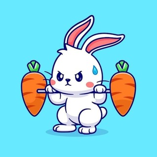 🐇 𝗖𝗼𝗻𝗲𝗷𝗼 𝕊ℙ𝔸𝕄 🥕 - TgScanner