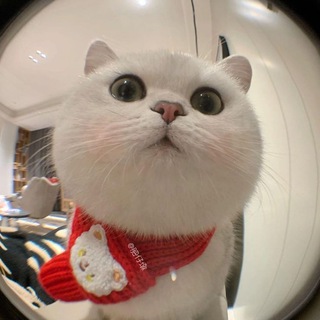 Avatar of Telegram channel "Язычки и Темки ТГ" @parnye_avy_dlyaa