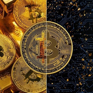 Bullish Chain Insights - TgScanner