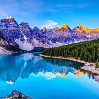 Traveller - TgScanner