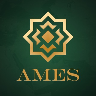 Це AMES: коментарі, оцінки, погляди - TgScanner