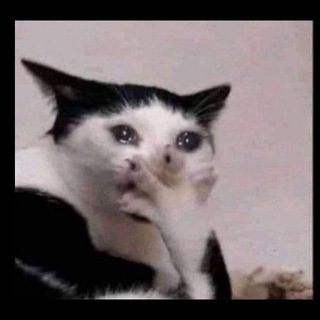 Avatar del canal de Telegram "Funny Hub" @funny_hubtm