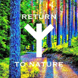 Аватар Телеграм канала "ᛉ Around Naturе ᛉ" @aroundnature