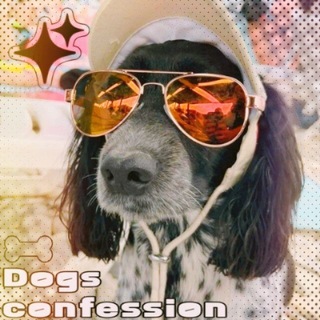 Аватар Телеграм канала "ᝰ.ᐟ собачке confession + daily .ᐟᝰ." @dogsc0nfession