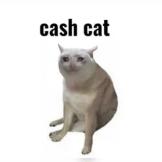 Cashcat gems - TgScanner