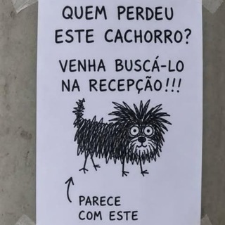 "Animais fantásticos 🦆 e onde habitam" @anymais Telegram арнасының аватары