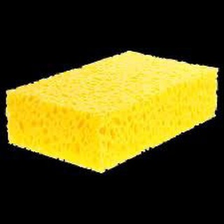 Avatar of Telegram channel "SPONGE" @spngton