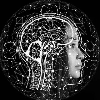 Avatar del canal de Telegram "Ingeniería, Ciencia y Tecnología" @ingenieriaengeneral