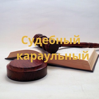 Судебный караульный - TgScanner