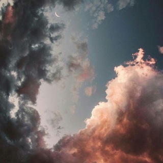 Aesthetics - TgScanner
