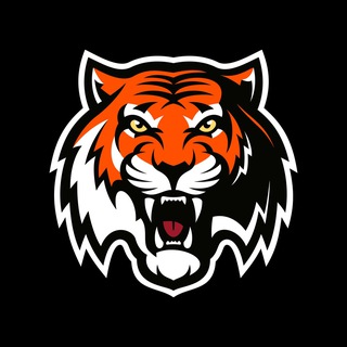 Аватар Телеграм канала "Территория Тигров | ХК «Амур»" @hcamur1957