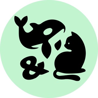 Кит и Кот - TgScanner