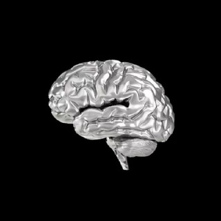 Дубровская 👊🏿 - TgScanner