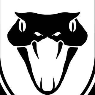 BLACK MAMBA GROUP - TgScanner