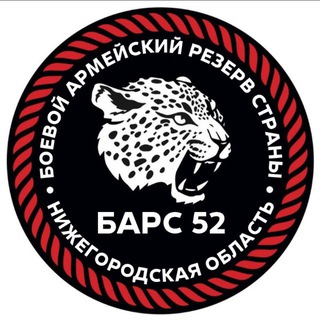 Аватар Телеграм канала "БАРС-НН" @bars_nobl