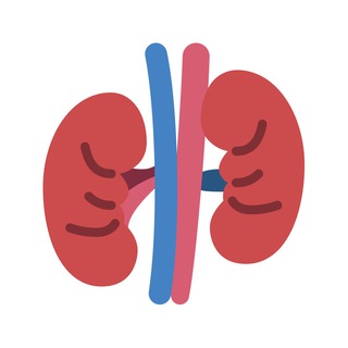 Школа здоровья пациентов с МКБ - TgScanner