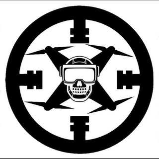 Avatar of Telegram channel "Drone Hunters" @dronehunters161