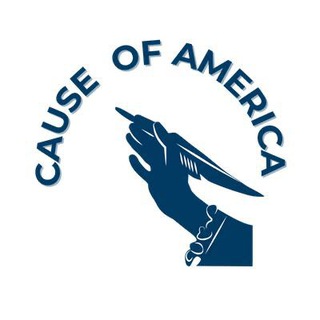 Cause of America - TgScanner