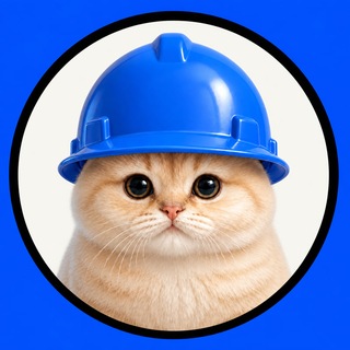 Base(d) Cat | Official - TgScanner