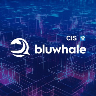 Аватар Телеграм канала "Bluwhale Official CIS" @bluwhalecis
