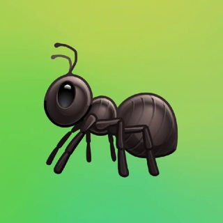 insectorothkia - TgScanner