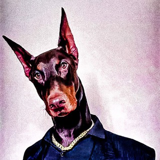 Avatar of Telegram channel "Woofy the dog" @woofy_the_dog