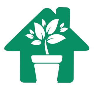 Комнатные Цветы 🪴 - TgScanner