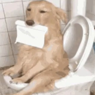 Avatar of Telegram channel "Shares from the Toilet" @toiletshares