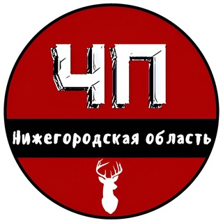 ЧП Нижний Новгород - ЧАТ - TgScanner