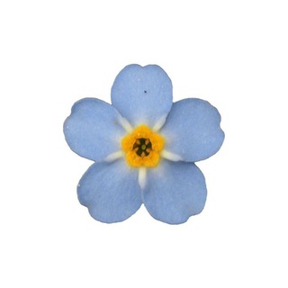 Аватар Телеграм канала "✿" @pb_blueflowers