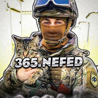 365.nefed - TgScanner