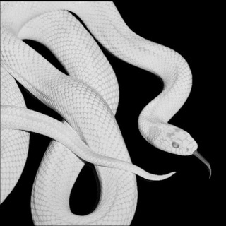 𝘿𝙚𝙛𝙩𝙤𝙣𝙚𝙨 𝘾𝙤𝙣𝙛𝙚𝙨𝙨𝙞𝙤𝙣 - TgScanner