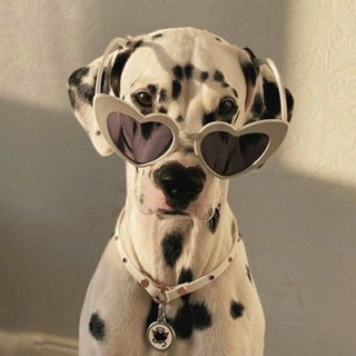 Аватар Телеграм каналу "язычки и темы" @yazyki_dlya_tg