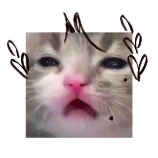 Аватар Телеграм канала "\_Lenь_/" @lelaluy