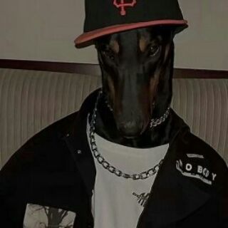 Memesta - official dog house - TgScanner