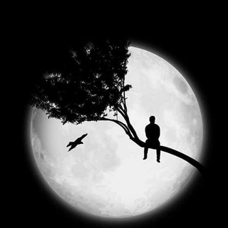 خاطرٌ شَجِنٌ - TgScanner