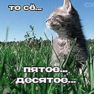 Аватар Телеграм канала "Полу-Жидкий Снеговик ⛄️⛄️⛄️" @polu_zhid_sneg