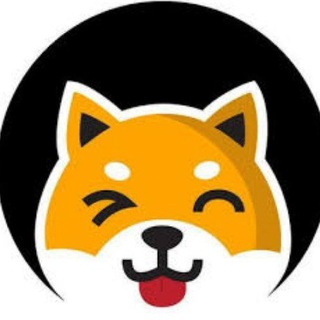 Shiba BASKET - TgScanner