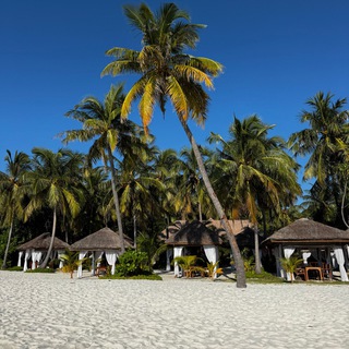Avatar of Telegram channel "Vartatravel" @vartatravel